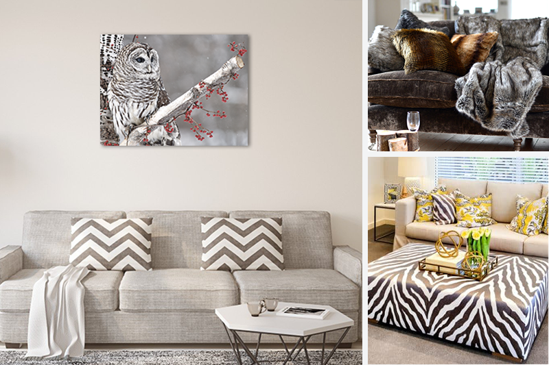 How to Incorporate Animal Prints in Your Home